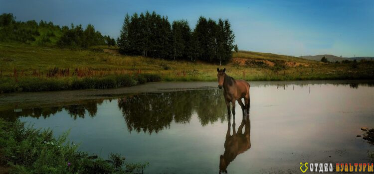 Республиканский конкурс фототворчества. Диплом, наконец, дошел до победителя!
