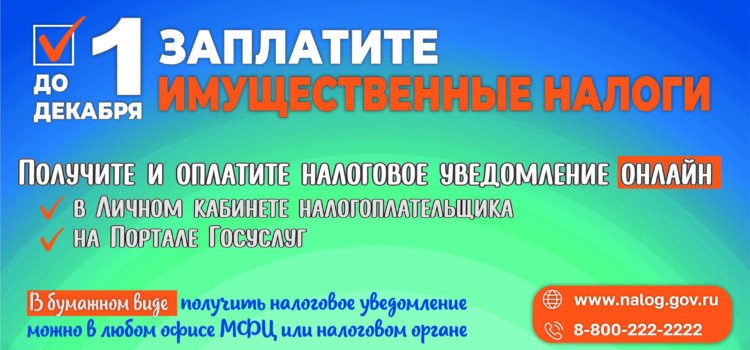 Не забудьте заплатить налоги!